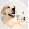 Looking for Dog Training Toledo | Westtoledoanimalhospital.com