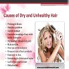Arogyam Pure Herbs Hair Care Kit For Hair Problems