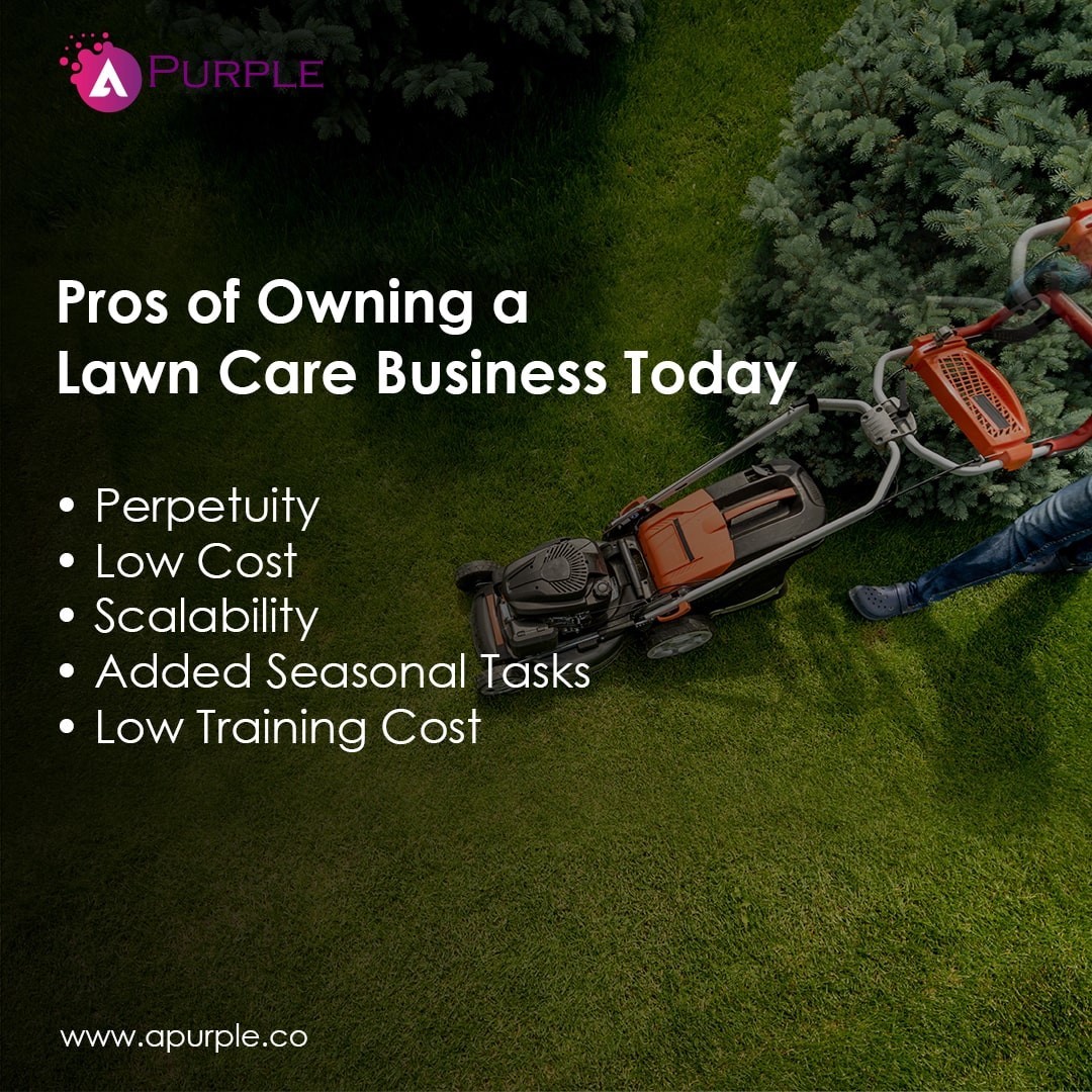 Pros of Owning a Lawan Care Business