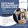 Choose Best Software Development Consulting Services