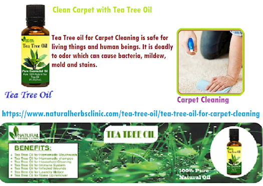 Tea Tree oil for Carpet Cleaning - Natural Essential Oils - Natural Herbs Clinic