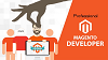 Important Factors While Hiring A Professional Magento Developer