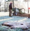 tree removal, tree trimming, stump grinding, stump removal, planting and fertilization and emergency