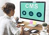 Considerations to Make Before using CMS