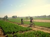 Cycling Holidays in Rajasthan  India