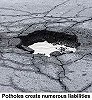 Potholes