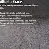 Asphalt Cracking