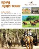 Indian Safari Tours.