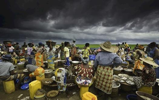 fish market