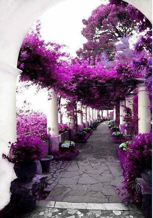  House of Axel Munthe, Capri, Italy 