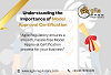Streamlining Your Product Launch with a Model Approval Certificate