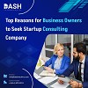 Reasons to Choose an IT Startup Consulting Company for Success