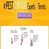 Pest Control in Toronto