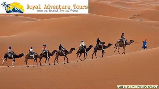 Looking for Best Rajasthan Tour packages with Royal Adventure Tours