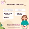 Causes of Endometriosis | Dr. Neha Lalla
