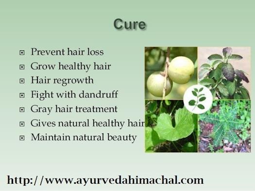 Arogyam Pure Herbs Hair Care Kit Ayurvedic Treatment For Hair Problems Visit : http://www.ayurvedahi