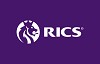What Are the Types and Levels of RICS Survey London