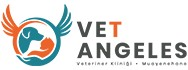 Vet Angeles