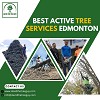 Best Active Tree Services Edmonton
