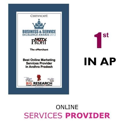 Business and Service Excellence Award - the e-Merchant