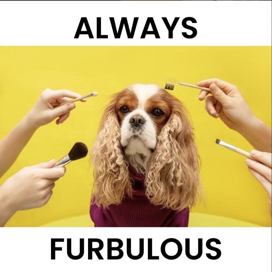 Pawsitively Feeling Furbulous.