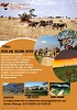 Kenya and Tanzania safari