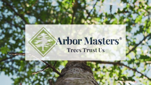Arbor Masters of Liberty