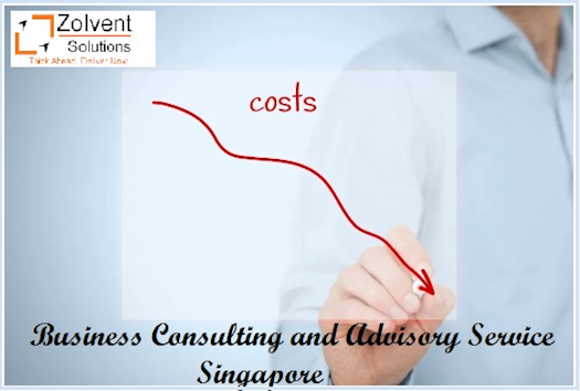 Business Consulting and Advisory Services Singapore
