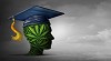 Cannabis Colleges in Canada: Where to Learn About the Cannabis Industry