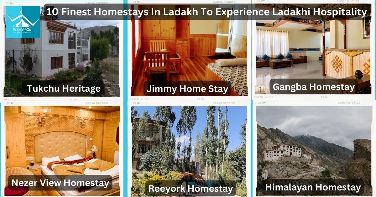 10 Finest Homestays In Ladakh To Experience Ladakh Hospitality