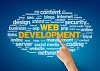 Web Development - Openwave Computing