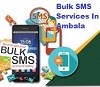 Bulk SMS Services In Ambala At Webczarsolutions