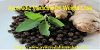 Ayurvedic Medicine For Weight Loss Visit : http://www.ayurvedahimachal.com/pure-herbal-products/#sth