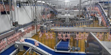 Poultry Processing Machinery