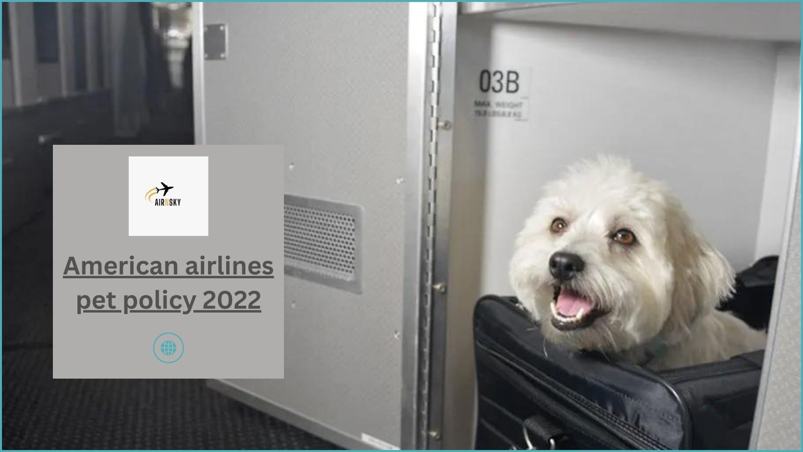 American airlines pet policy 2022