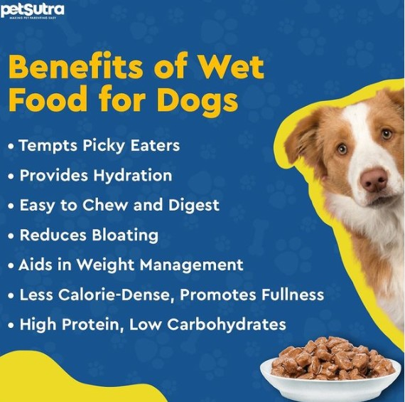 Wet Food For Dogs - Dog Food Online - PetSutra
