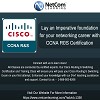 Become a CISCO certified professional with CISCO routing and switching training and certification, 
