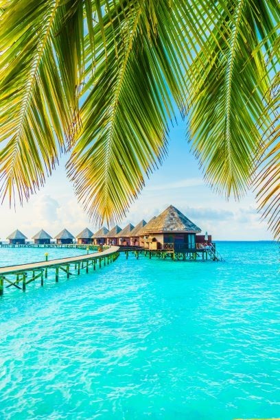 Best Time to Visit Maldives