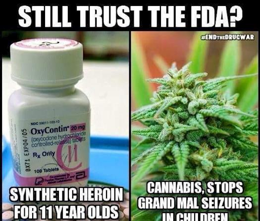 Still Trust the FDA?