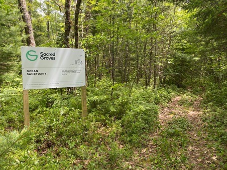 Protect Environment, Wildlife, Endangered Animals, Natural Habitats - Sacred Groves