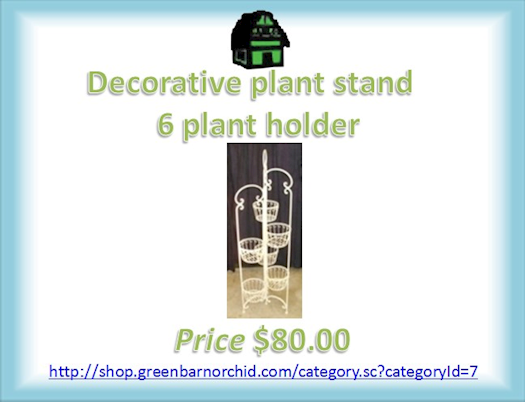 Buy Decorative Orchid Stand Online in Florida