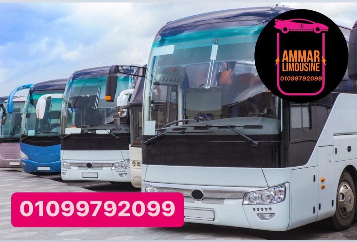 bus 50 seats for rent