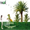 Cheap Travel Insurance Provider In Australia