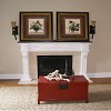 Fireplace - Residential - BTI Designs and The Gilded Nest