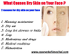 Arogyam Pure Herbs Face Care Kit For Face Problems