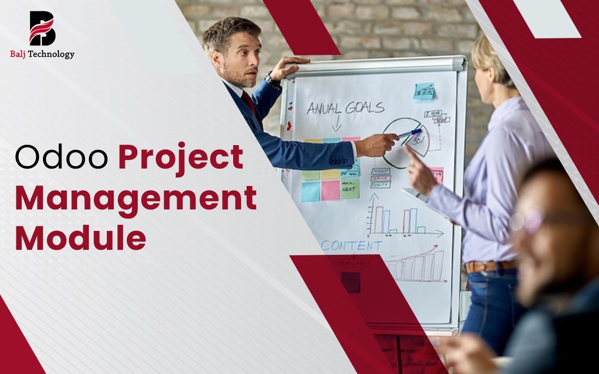 Odoo Project Management Module | Balj Technology