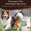 All you need to know Interceptor Plus for Dogs- One Chew Many Benefits