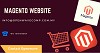 Magento website development 