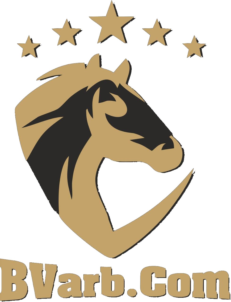 BVarb.com