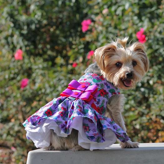 New Purple and Red Floral dog dress